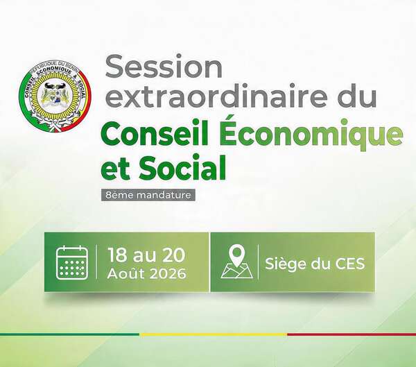 Ouverture de la 1ʳᵉ session extraordinaire du CES (8ᵉ mandature)
