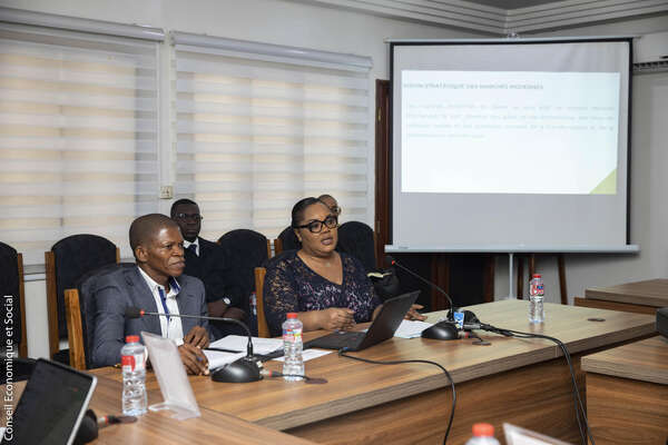 Modernisation des marchés au Bénin : l'ANAGEM expose sa feuille de route devant le CES