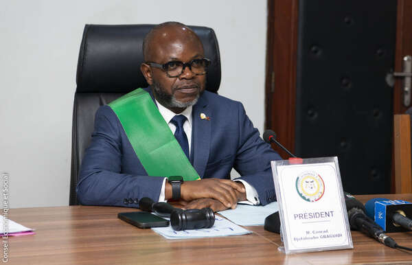 Clôture de la première session ordinaire du CES : un mois de travaux au service du développement national