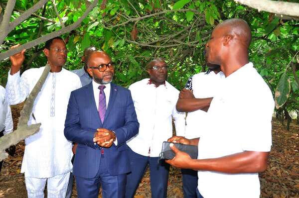 Relations CES du Bénin - CESEC de RCI : un pas vers la coopération agro-industrielle et la valorisation des femmes